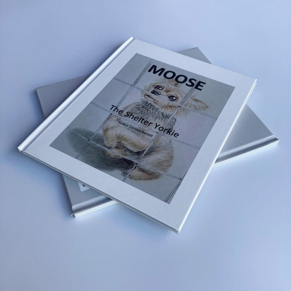 Hardcover -Kinderbuchdruck